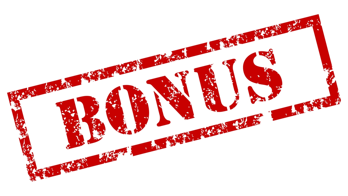 What Is The Pension Bonus Scheme